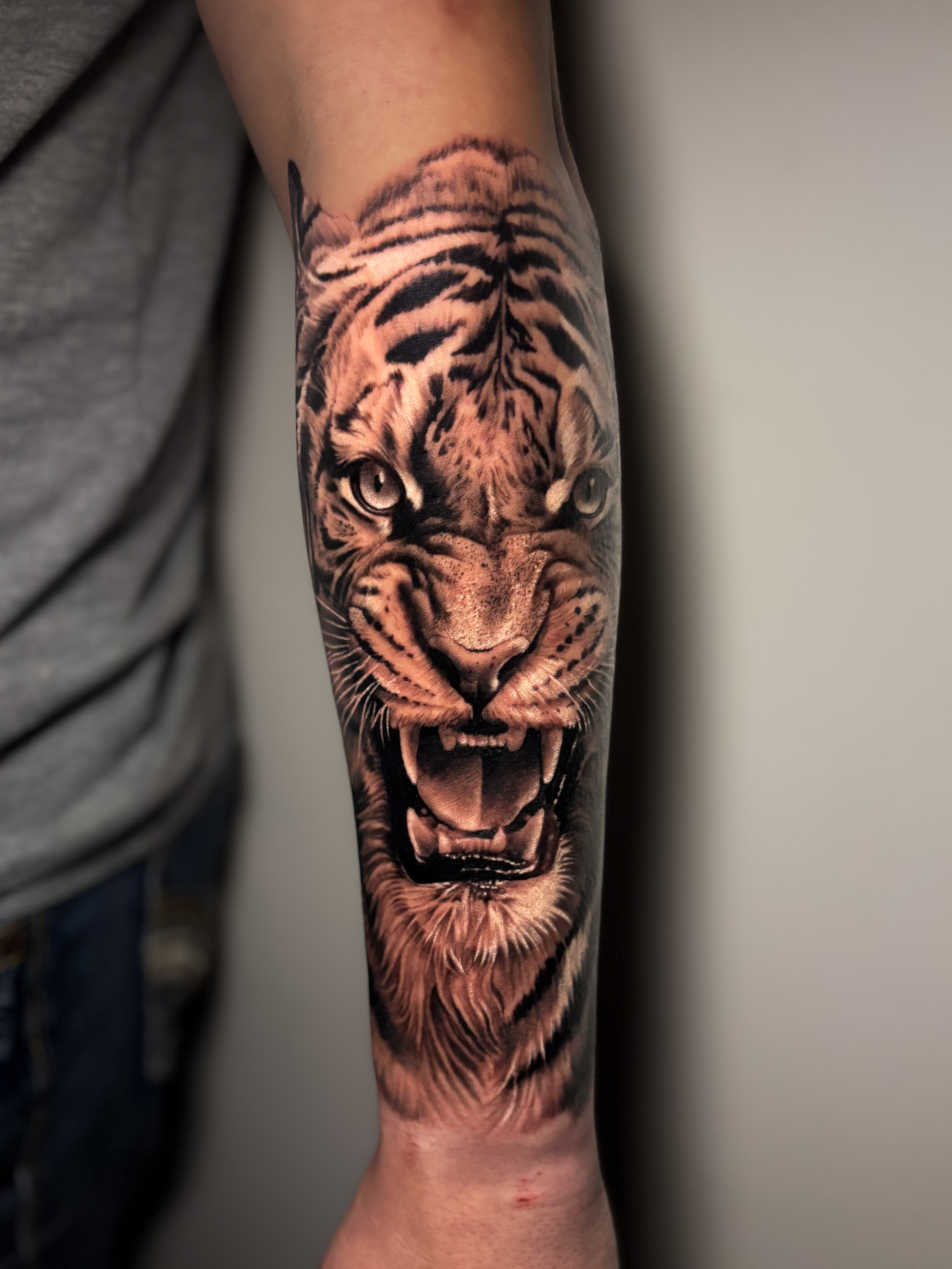Black and grey realistic roaring tiger tattoo