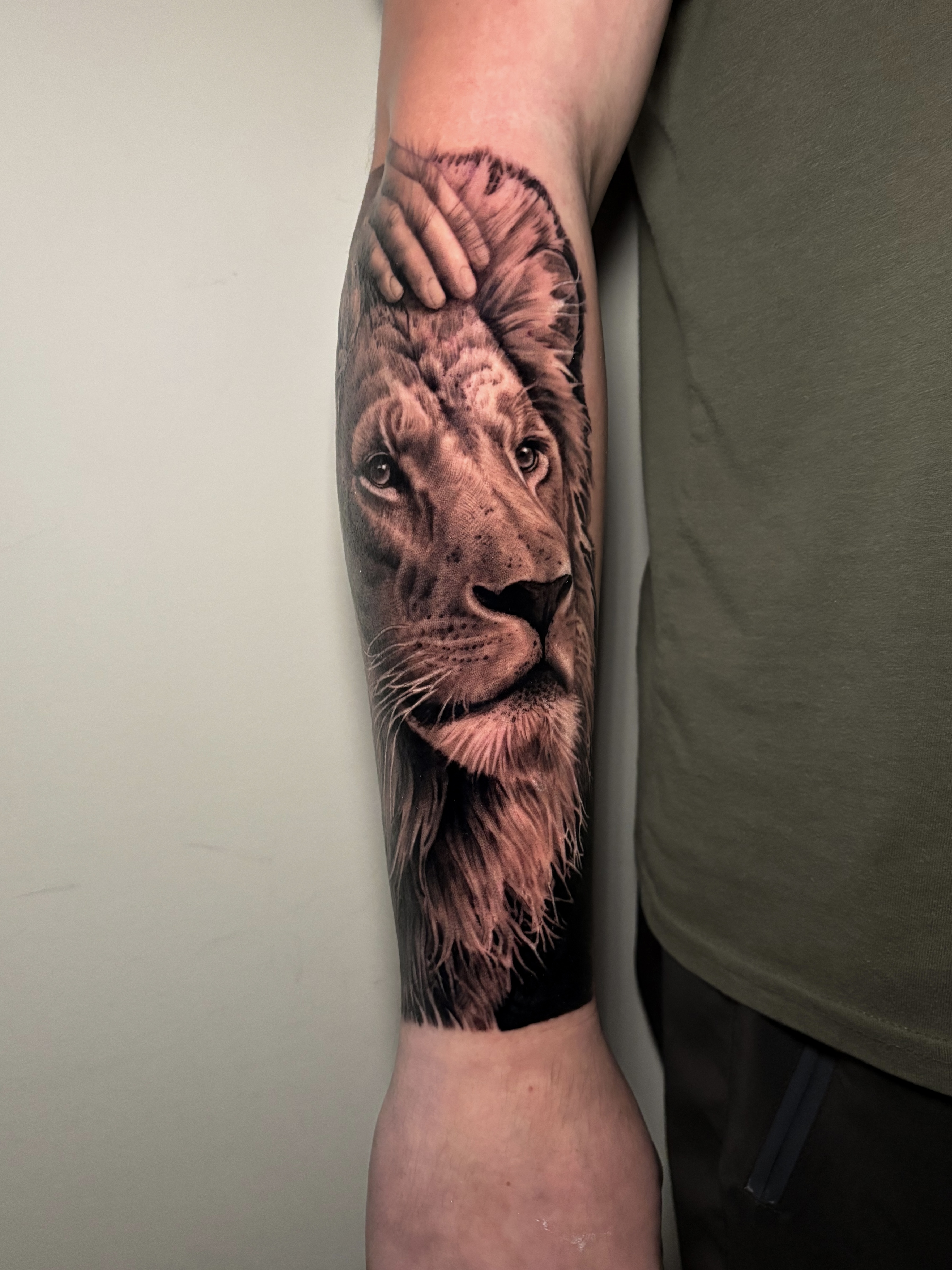 Black and grey realistic lion portrait tattoo